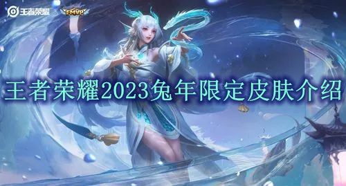 王者荣耀2023兔年限定皮肤介绍